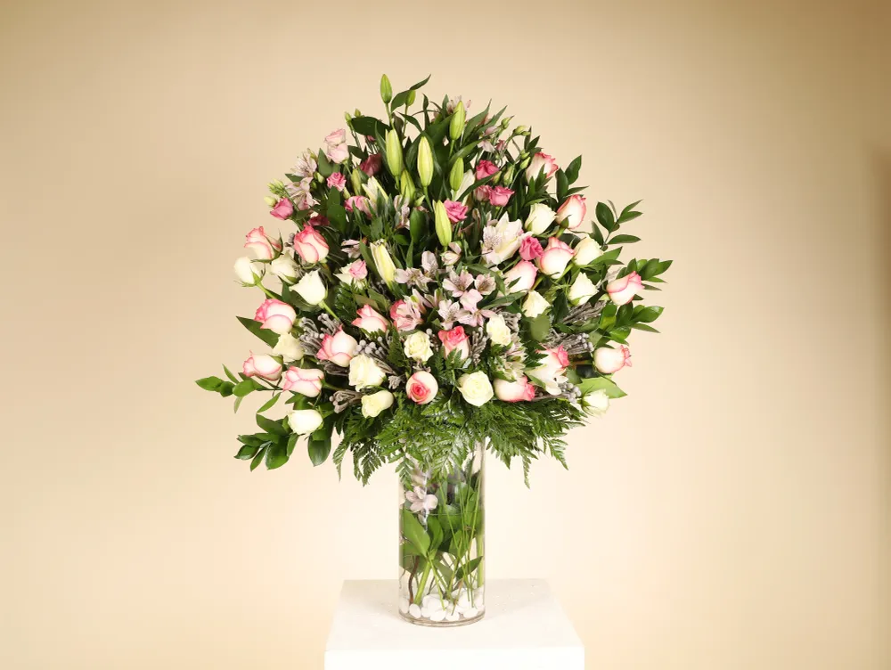 Package image