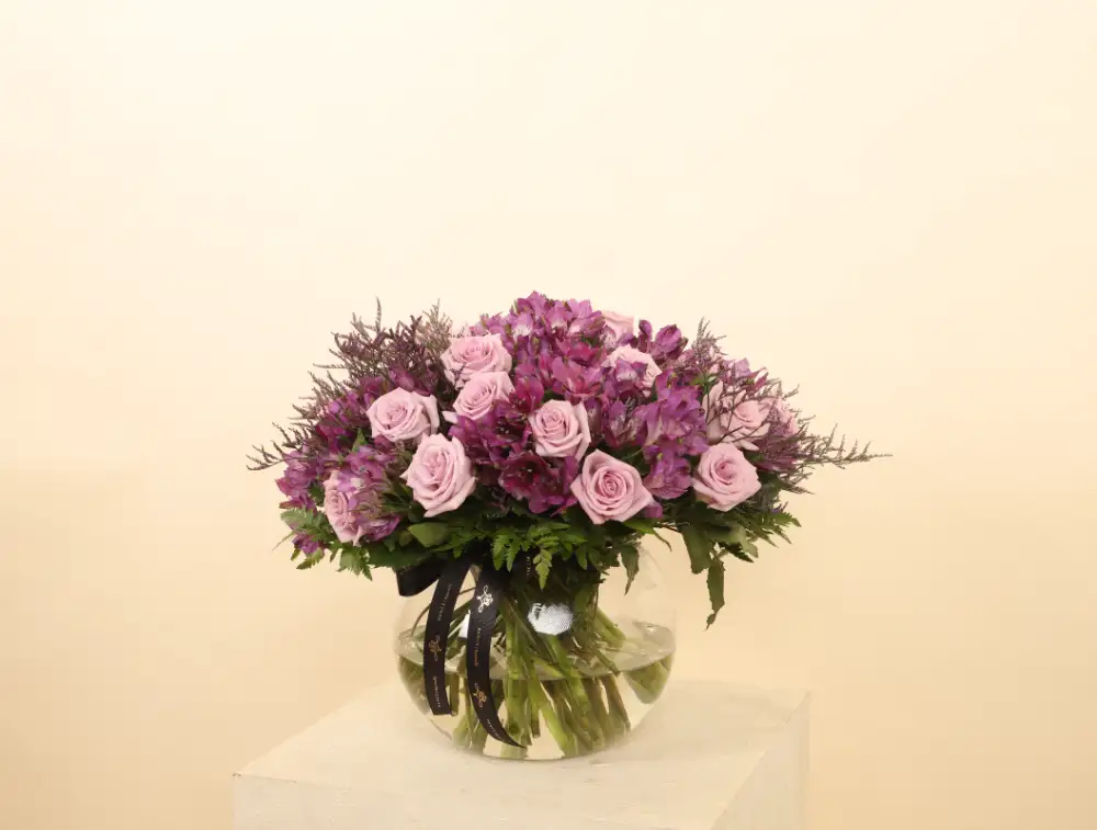 /product-placeholder.png