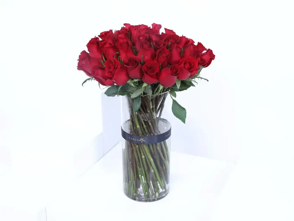 /product-placeholder.png